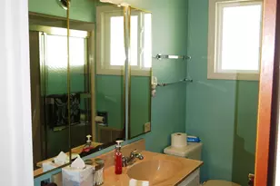 110 Lukesport Dr, Quincy, MI 49082 - Photo 25
