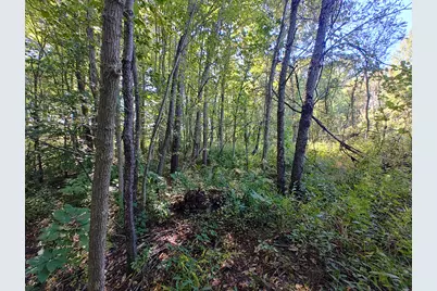 Vl 72nd St, Covert, MI 49043 - Photo 21