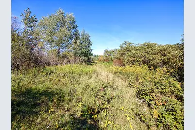 Vl 72nd St, Covert, MI 49043 - Photo 19
