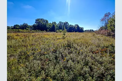 Vl 72nd St, Covert, MI 49043 - Photo 13