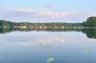 10780 Alpine Dr, Lake, MI 48632 - Photo 11