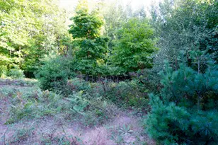 1859 W Hansen Rd, Scottville, MI 49454 - Photo 71