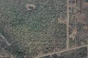 Vl Sweeter Rd, Twin Lake, MI 49457 - Photo 1