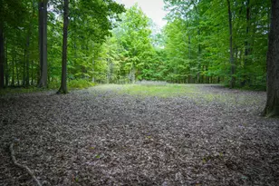 14416 Tuscola Rd, Clio, MI 48420 - Photo 87