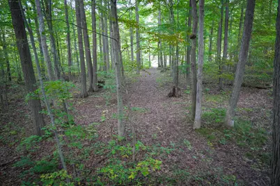 14416 Tuscola Road, Clio, MI 48420 - Photo 111