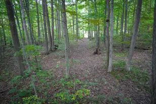14416 Tuscola Rd, Clio, MI 48420 - Photo 111