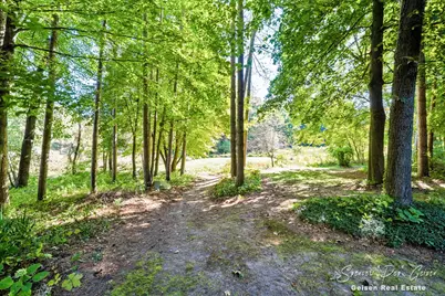 5236 N Whites Bridge Road, Belding, MI 48809 - Photo 47