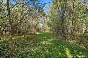 8283 Deer Valley Dr SE, Alto, MI 49302 - Photo 49