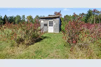 19020 W Pierson Road, Pierson, MI 49339 - Photo 5