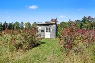 19020 W Pierson Rd, Pierson, MI 49339 - Photo 5