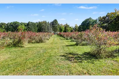 19020 W Pierson Road, Pierson, MI 49339 - Photo 7