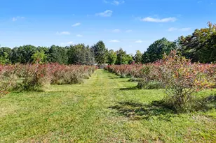 19020 W Pierson Rd, Pierson, MI 49339 - Photo 7