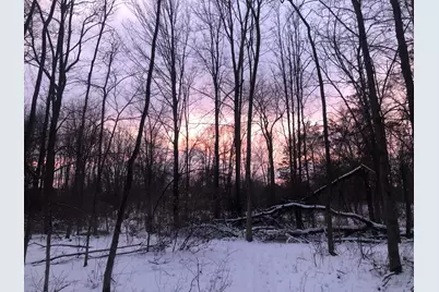 12463 Hibner Road, Hartland, MI 48353 - Photo 83