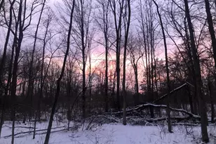 12463 Hibner Rd, Hartland, MI 48353 - Photo 83