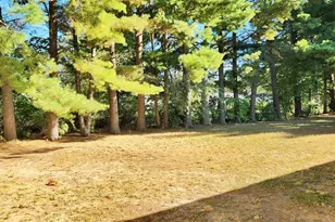 1407 Swain St, White Cloud, MI 49349 - Photo 7