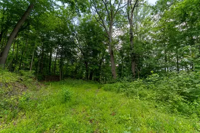 V/L 47.06 Weiser Road, Niles, MI 49120 - Photo 3