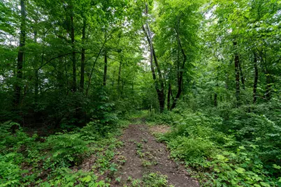 V/L 47.06 Weiser Road, Niles, MI 49120 - Photo 15