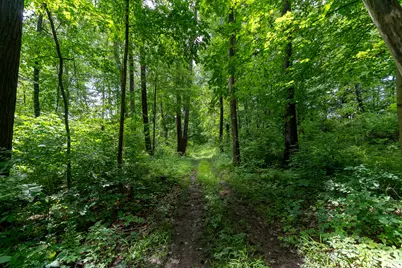 V/L 47.06 Weiser Road, Niles, MI 49120 - Photo 17
