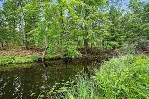 520 N Campbell Rd, Fountain, MI 49410 - Photo 49