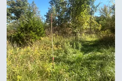 Vl 20 Mile Road, Marshall, MI 49068 - Photo 7