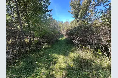 Vl 20 Mile Road, Marshall, MI 49068 - Photo 5