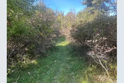Vl 20 Mile Road, Marshall, MI 49068 - Photo 3