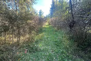 Vl 20 Mile Rd, Marshall, MI 49068 - Photo 1