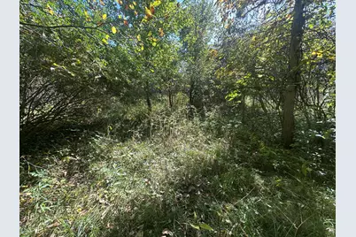 Vl 20 Mile Road, Marshall, MI 49068 - Photo 13