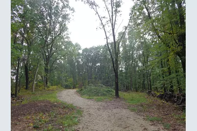 Parcel A 109th Avenue, Pullman, MI 49450 - Photo 1