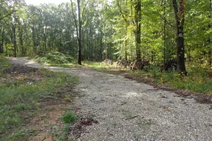 Parcel A 109th Ave, Pullman, MI 49450 - Photo 1