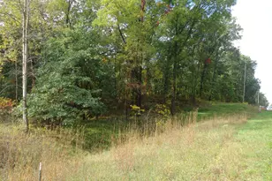 Parcel B 109th Ave, Pullman, MI 49450 - Photo 1