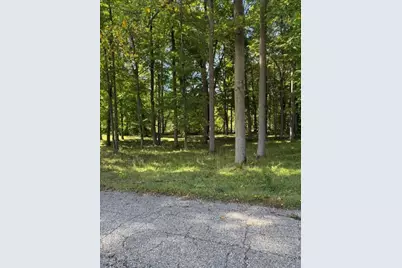Timberlane Drive, Jones, MI 49061 - Photo 3
