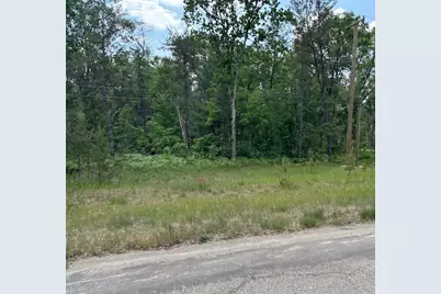 3188 S Yale Avenue, Baldwin, MI 49304 - Photo 1