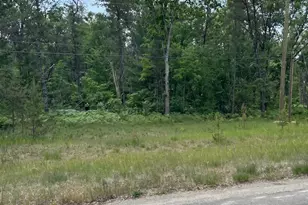 3188 S Yale Ave, Baldwin, MI 49304 - Photo 1