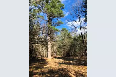 V/L Dalson Road, Holton, MI 49425 - Photo 1