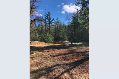 V/L Dalson Road, Holton, MI 49425 - Photo 3
