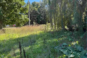 5424 Orleans Rd, Orleans, MI 48865 - Photo 31