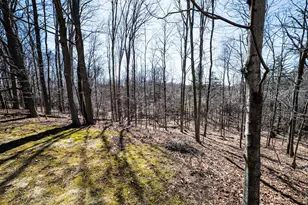 20705 Glenhill Ct, Beverly Hills, MI 48025 - Photo 15