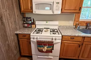9729 S Rebecca Rd, Baldwin, MI 49304 - Photo 11