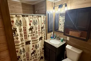 9729 S Rebecca Rd, Baldwin, MI 49304 - Photo 25