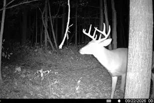 23267 Cadillac Hwy, Copemish, MI 49625 - Photo 49