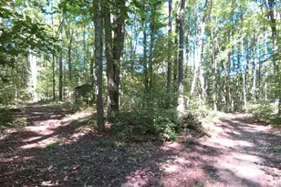 23267 Cadillac Hwy, Copemish, MI 49625 - Photo 37