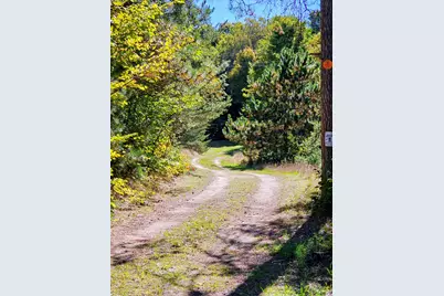 23267 Cadillac Highway, Copemish, MI 49625 - Photo 3
