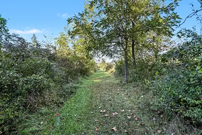 N County Line Road, Watervliet, MI 49098 - Photo 7