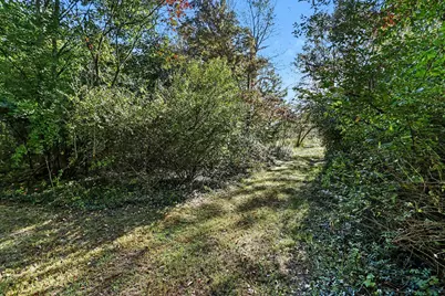 N County Line Road, Watervliet, MI 49098 - Photo 9