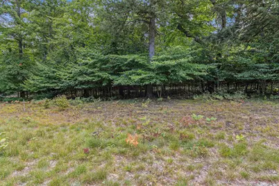 Lot 2 Pine Street, Mears, MI 49436 - Photo 5