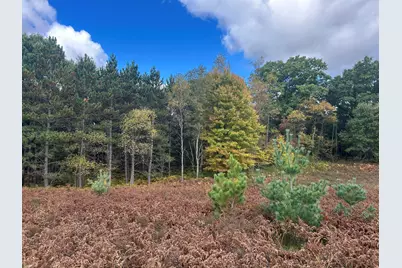 9177 S Bonney Road, Chase, MI 49623 - Photo 17