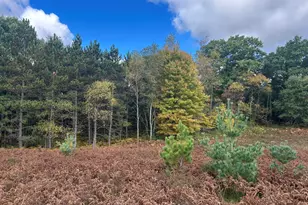 9177 S Bonney Rd, Chase, MI 49623 - Photo 17