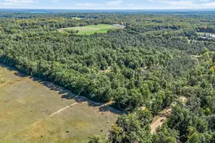 682 S Locust Ave, White Cloud, MI 49349 - Photo 69