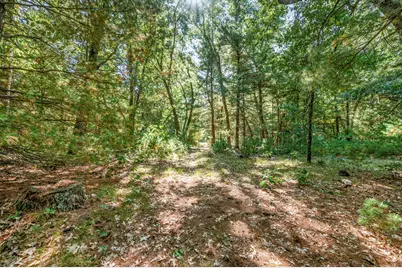 682 S Locust Avenue, White Cloud, MI 49349 - Photo 73